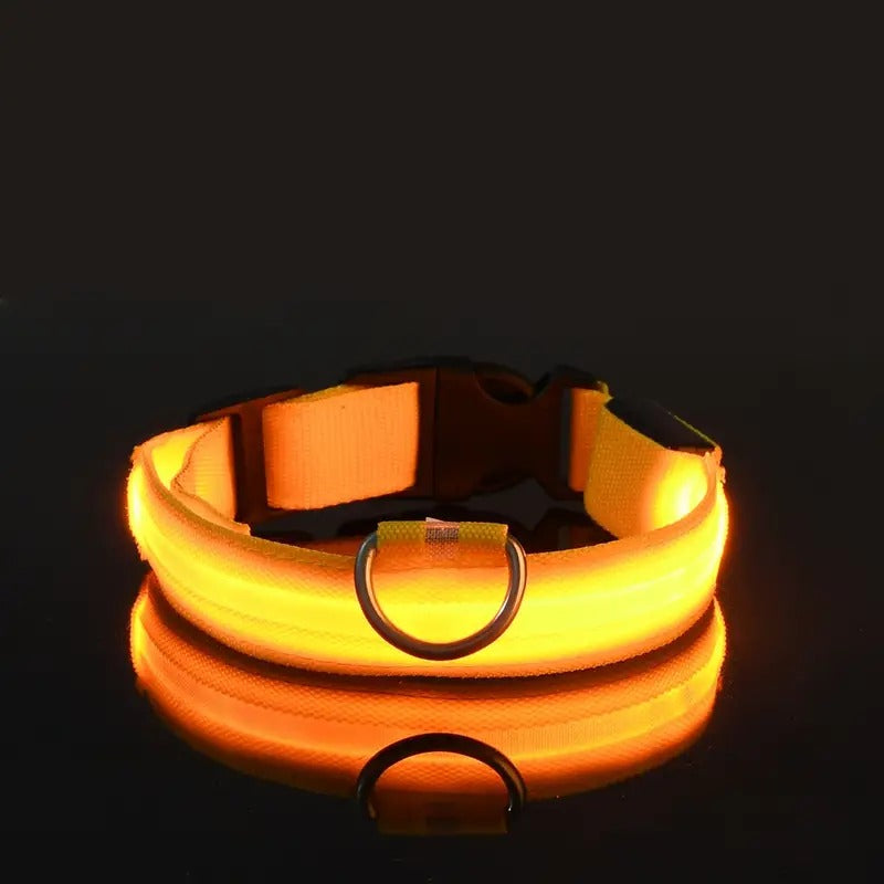Glow-in-the-Dark Pet Collar for Safety & Visibility