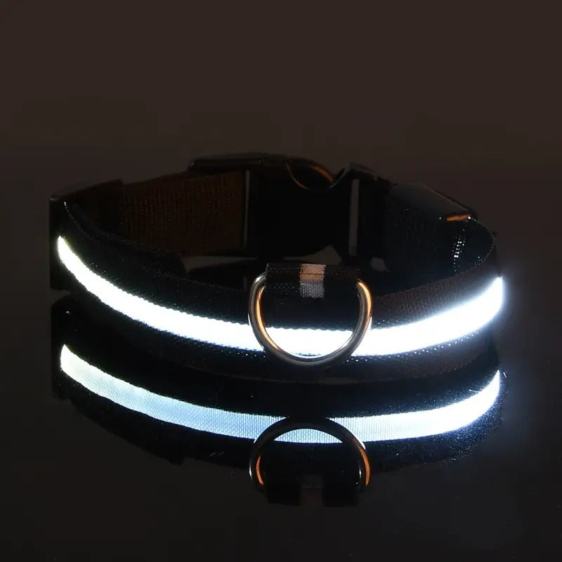 Glow-in-the-Dark Pet Collar for Safety & Visibility